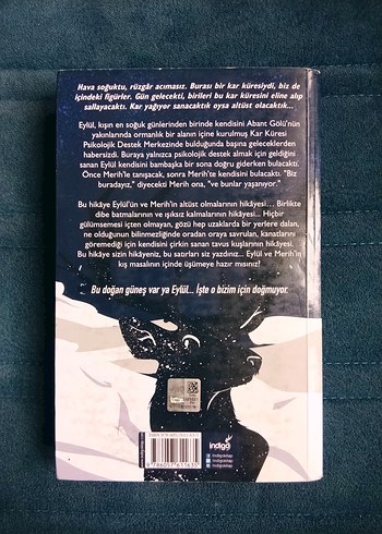 Beyza Alkoç - Kar küresi - Görsel 2