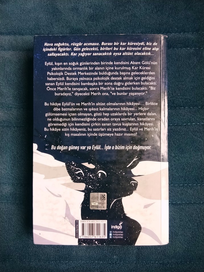 Beyza Alkoç - Kar küresi - Görsel 2