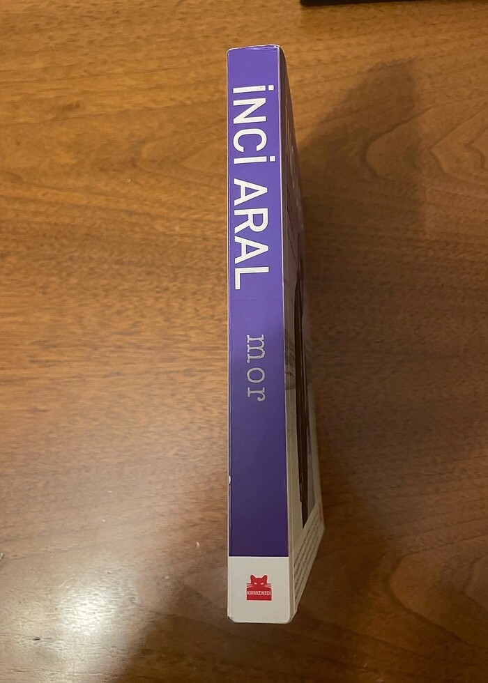 Mor-İnci Aral - Görsel 3