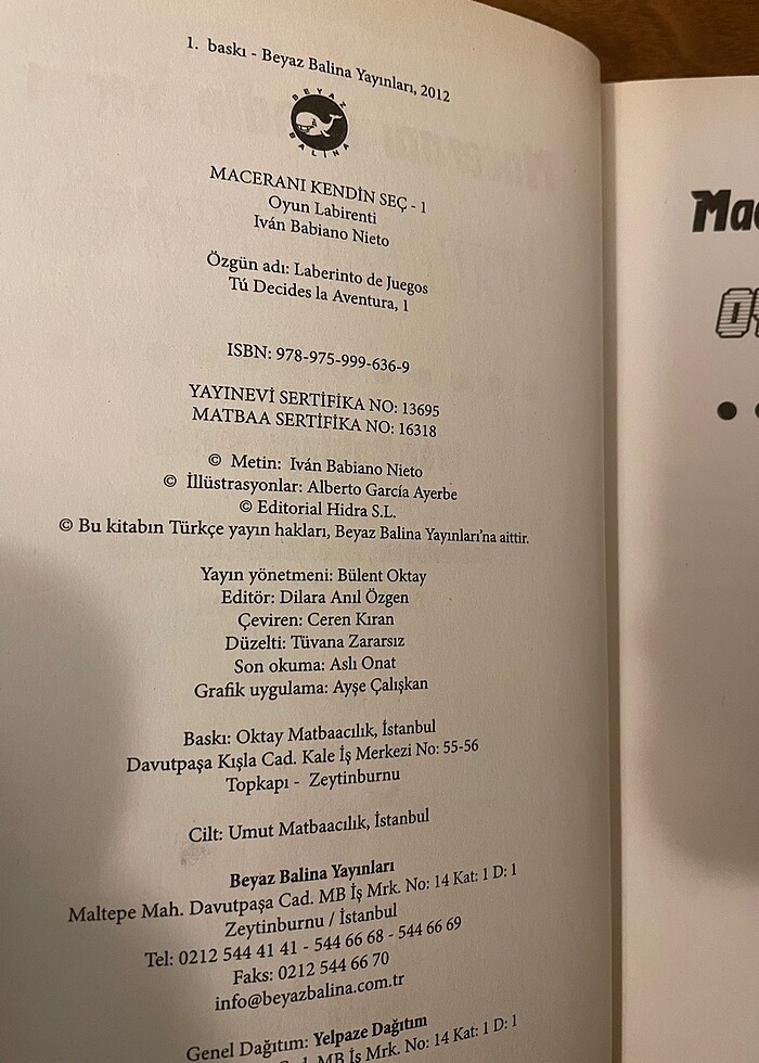 Oyun Labirenti - Görsel 4