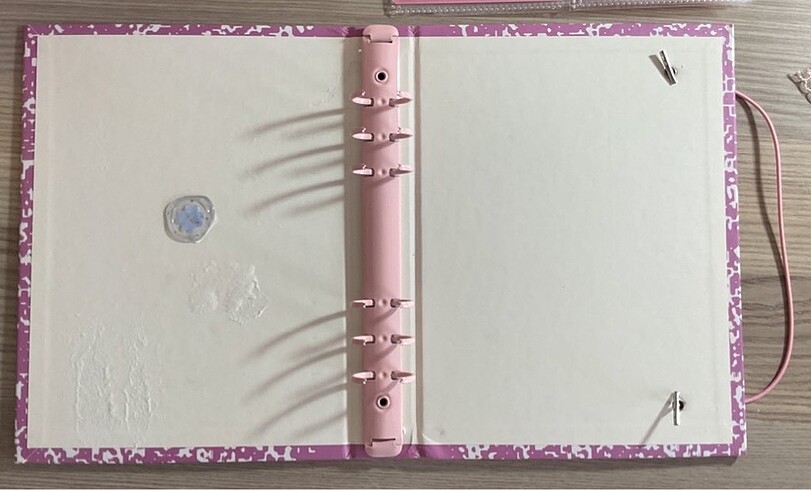 binder satis