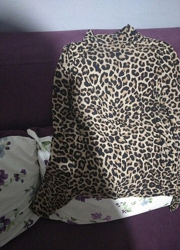 Leopar bady 
