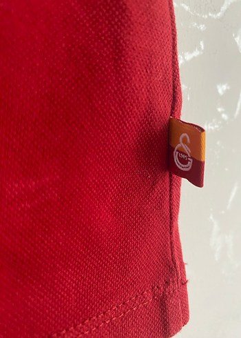 Standart Beden Beden Galatasaray Baskılı Kız Çocuk Kısa Kollu Polo Tişört