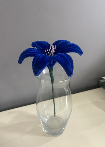 Mavi çiçek şönil - Görsel 2