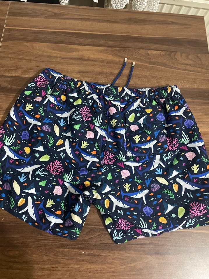 WWF  Erkek Deniz Şortu - Görsel 5