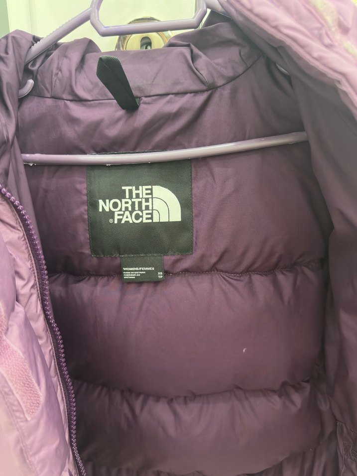 The North Face Kapüşonlu Mont - Görsel 4