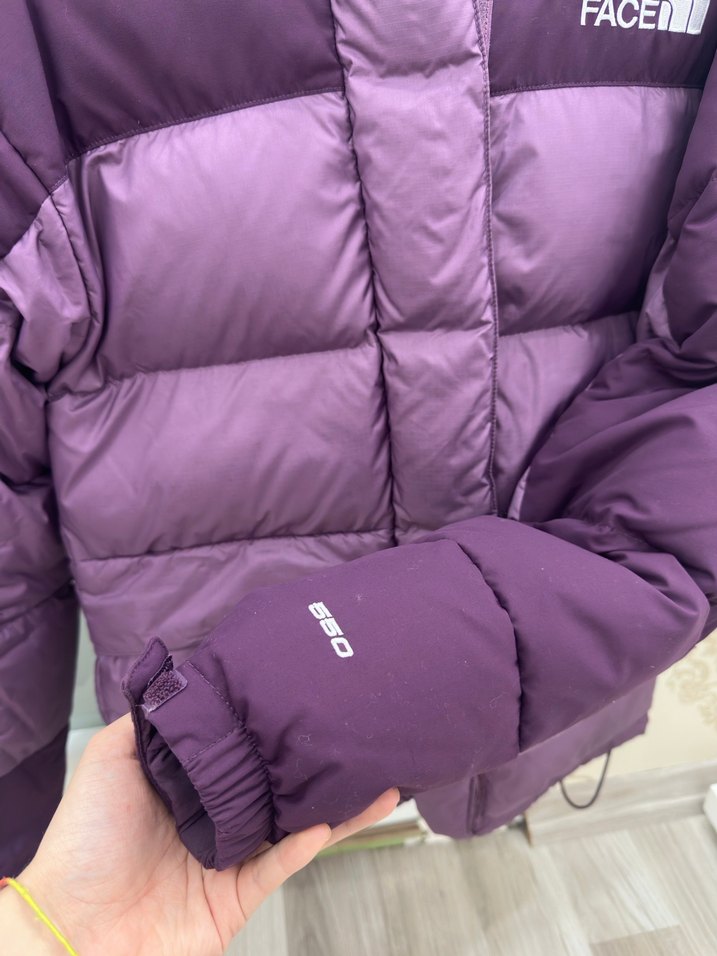 The North Face Kapüşonlu Mont - Görsel 3