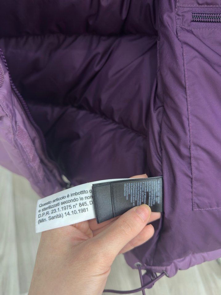 The North Face Kapüşonlu Mont - Görsel 5