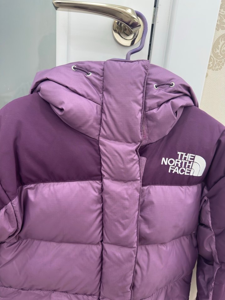 The North Face Kapüşonlu Mont - Görsel 2