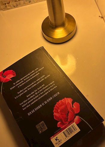 Rahip - Sierra Simone Roman - Görsel 3