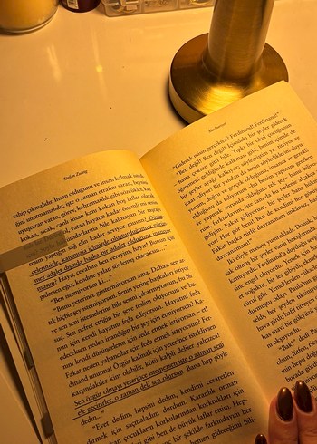 Stefan Zweig - Mecburiyet Romanı - Görsel 3