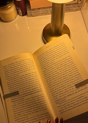 Stefan Zweig - Mecburiyet Romanı - Görsel 2