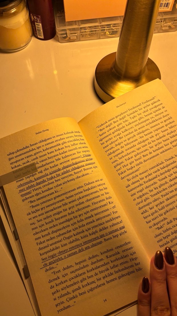 Stefan Zweig - Mecburiyet Romanı - Görsel 3