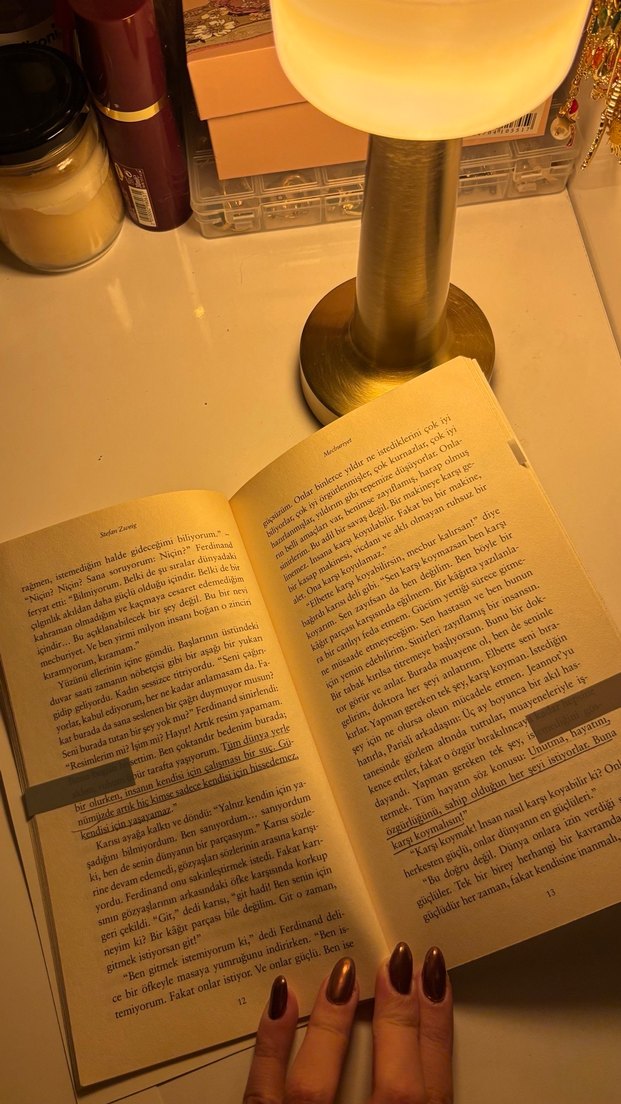 Stefan Zweig - Mecburiyet Romanı - Görsel 2