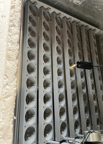 Kuluçka makinesi viyolü - Görsel 2