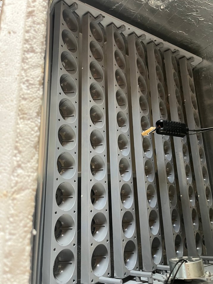 Kuluçka makinesi viyolü - Görsel 2