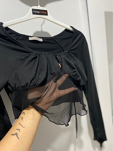 Dantelli crop