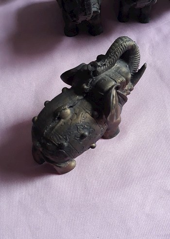 UZAK DOĞUDAN PİRİNÇ UĞUR FİLLERİ - Görsel 4