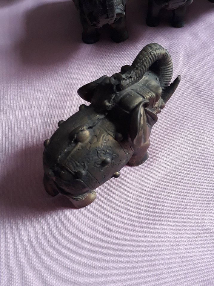 UZAK DOĞUDAN PİRİNÇ UĞUR FİLLERİ - Görsel 4