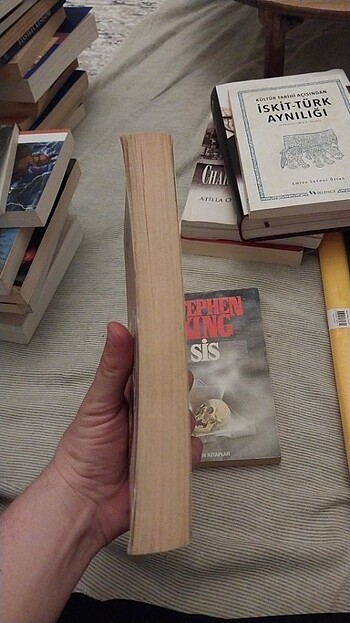 Stephen King - Falcı - Görsel 4