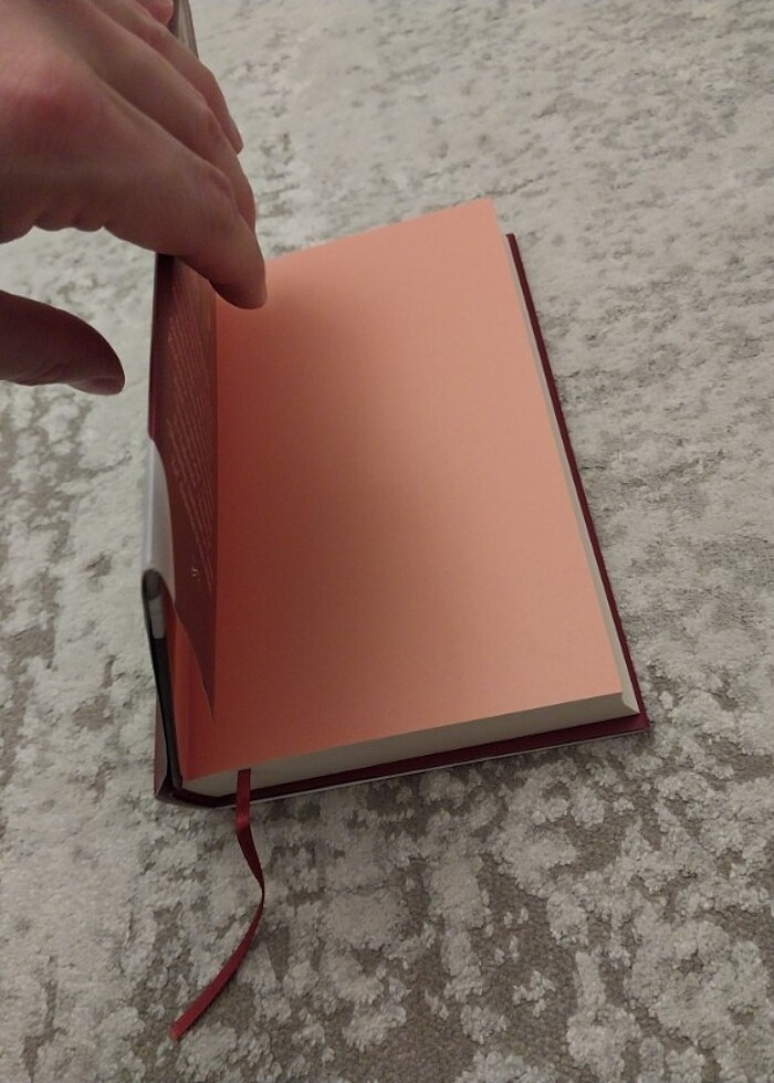 Gülseren Budayıcıoğlu - Camdaki Kız Ciltli  - Görsel 3