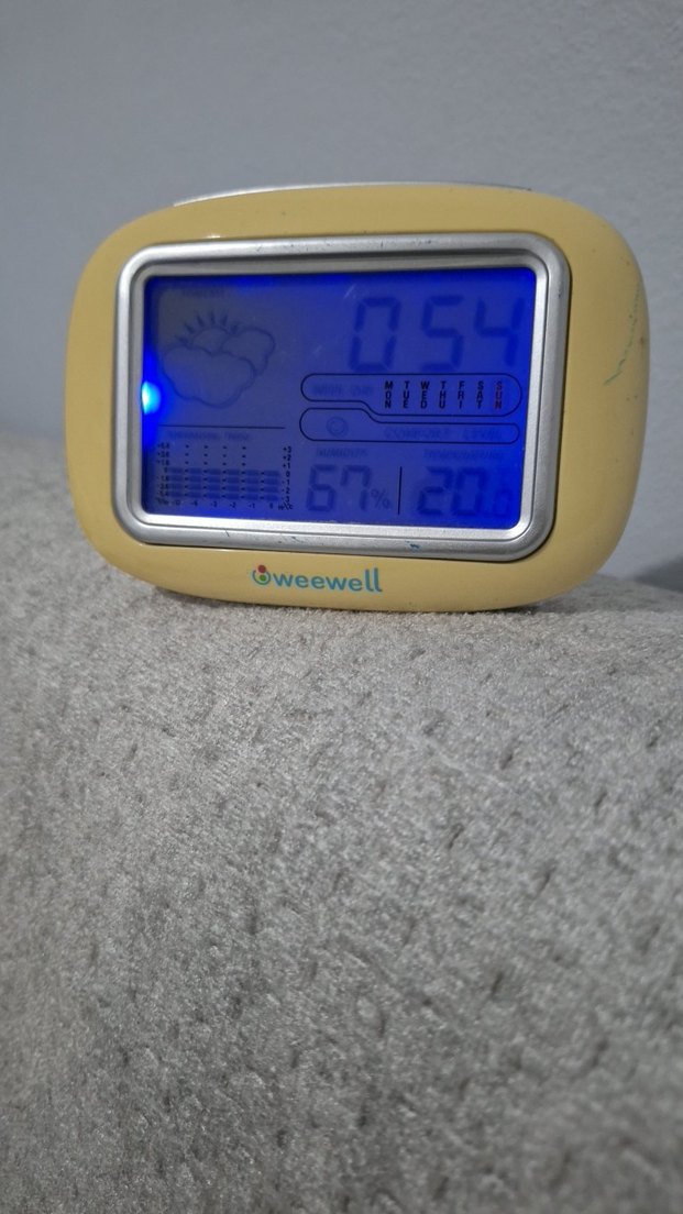 Pastel Renkli Weewell Dijital Termometre - Görsel 2