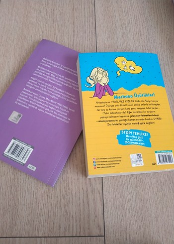 Küçük Kadınlar ve Üşütük Kızın Günlüğü - Görsel 2