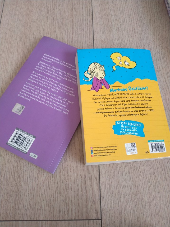 Küçük Kadınlar ve Üşütük Kızın Günlüğü - Görsel 2