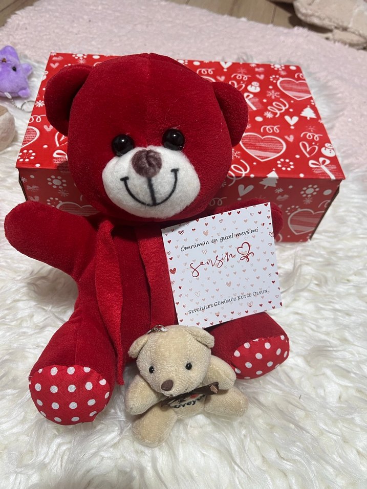 Kırmızı Peluş Ayıcık - Görsel 3