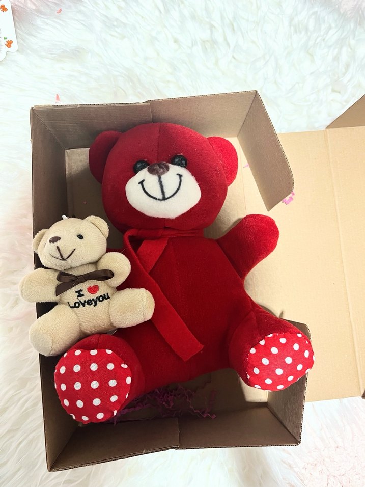 Kırmızı Peluş Ayıcık - Görsel 5