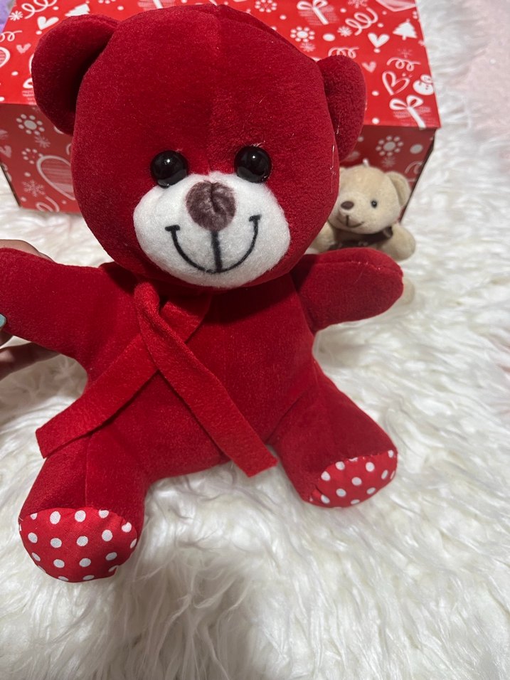 Kırmızı Peluş Ayıcık - Görsel 4