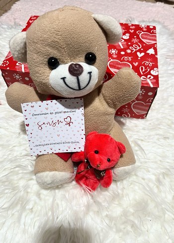 Sevgililer günü hediyesi Peluş Ayıcık - Görsel 2