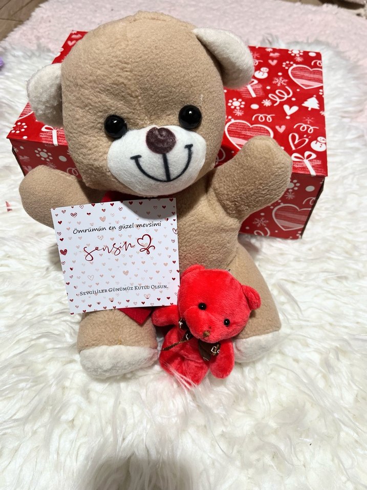 Sevgililer günü hediyesi Peluş Ayıcık - Görsel 2