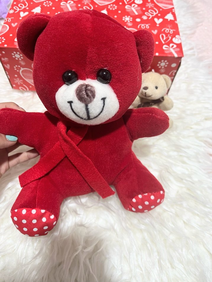 Peluş Ayıcık - Görsel 2