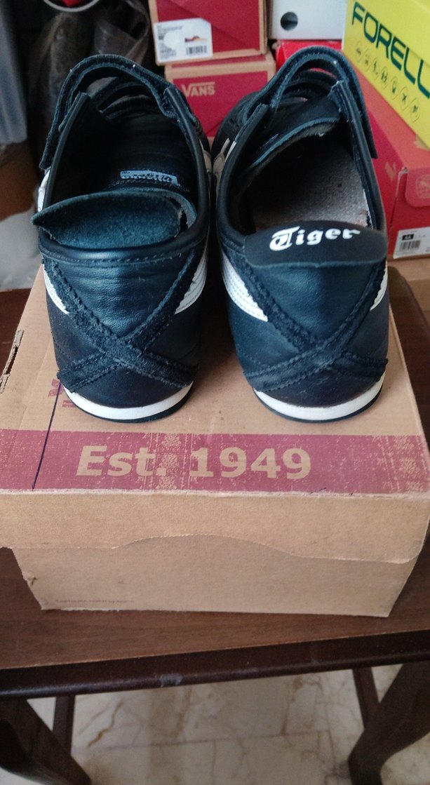 Asisc tiger 43.5 - Görsel 3