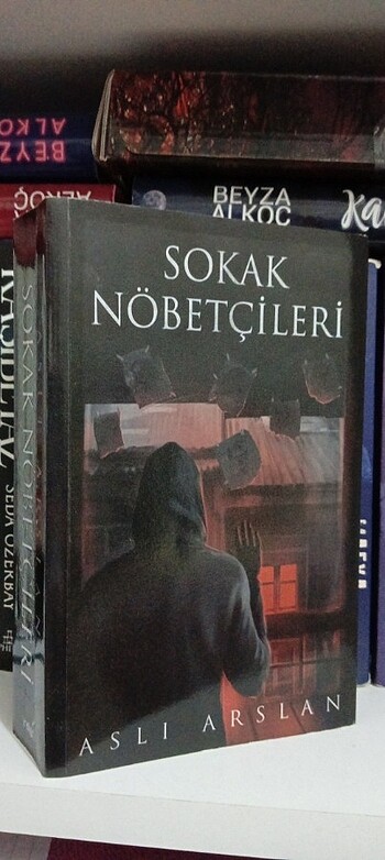 Sokak nöbetçileri aslı arslan