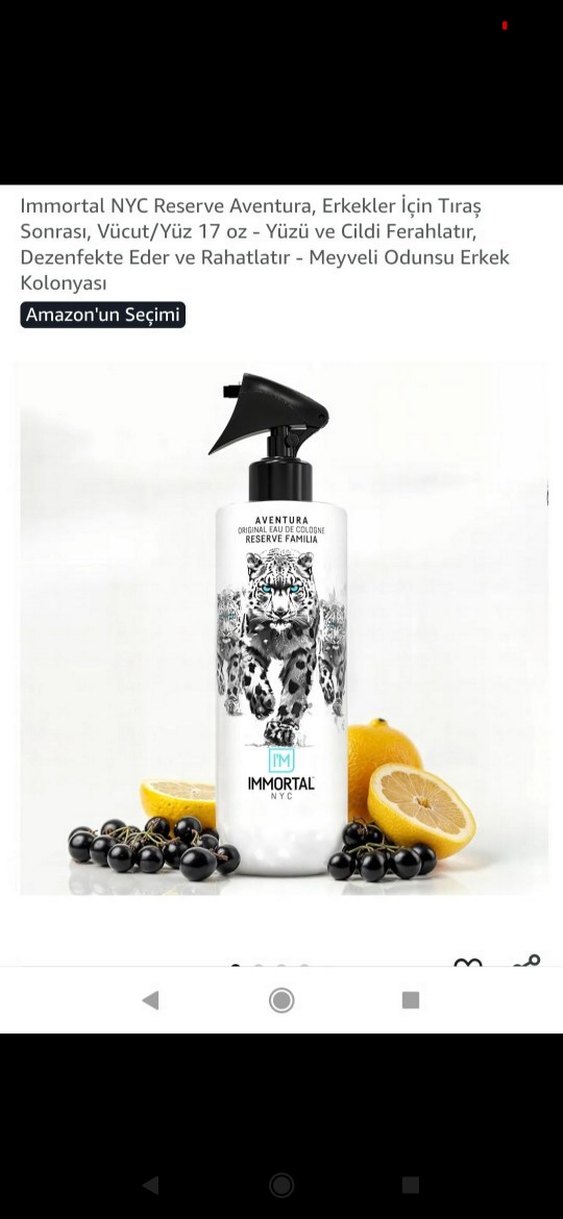 Meyveli Odunsu Erkek Kolonyası - Görsel 4