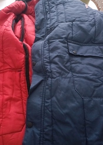 SOĞUK İKLİM KABANI - Görsel 4