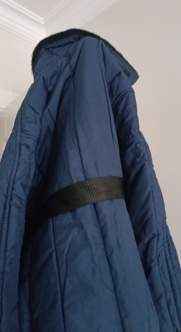 SOĞUK İKLİM KABANI - Görsel 2