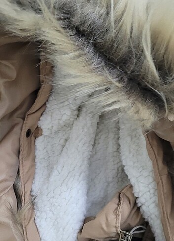 m Beden camel Renk Zara Açık Kahve Camel Mont