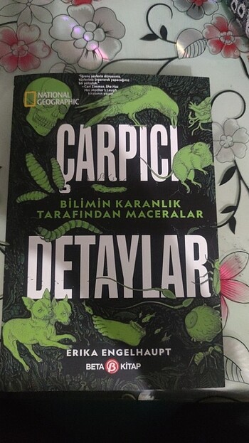 Çarpıcı detaylar