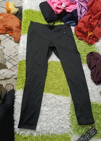 Camel Active l