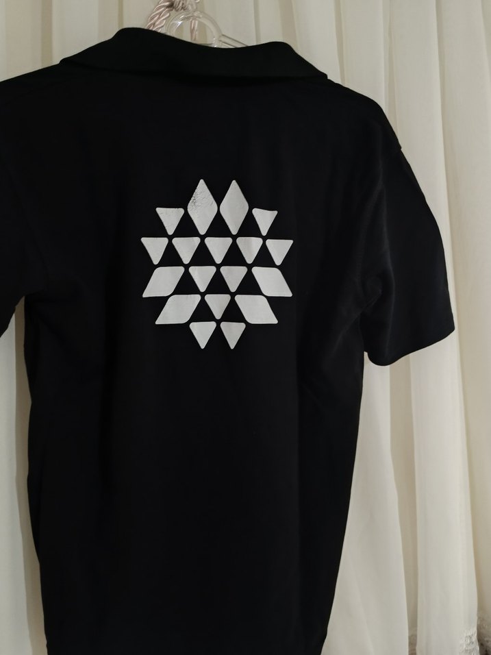 Erkek Siyah Kısa Kollu Polo Tişört - Görsel 3