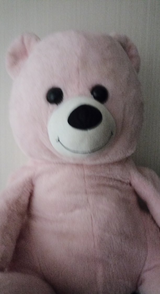 Pembe Peluş Ayıcık Oyuncak - Görsel 2