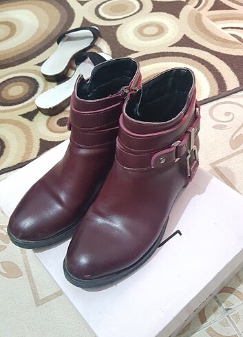 Bordo bot