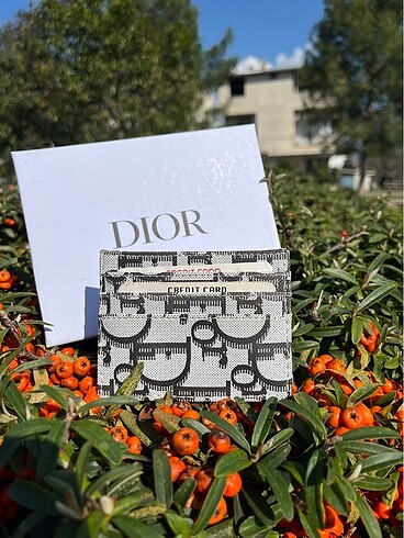 Dior kartlık