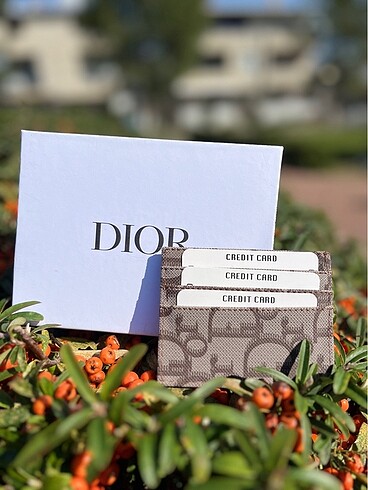 Dior kartlık