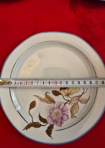 Burg Lindau Antika Alman Porselen Tabaklar - Görsel 7