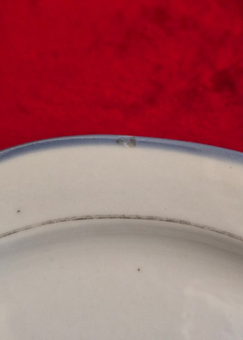 Burg Lindau Antika Alman Porselen Tabaklar - Görsel 5