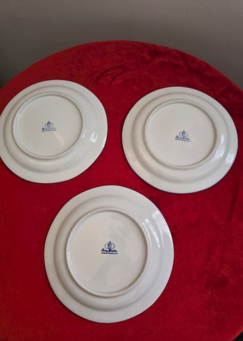 Burg Lindau Antika Alman Porselen Tabaklar - Görsel 2